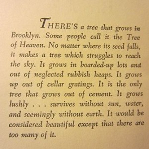 a tree grows in brooklyn